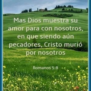 Meet your Posher, Daymer